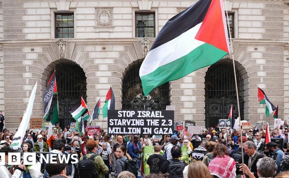 Civil servants told to consider quitting if they disagree with policy over Gaza