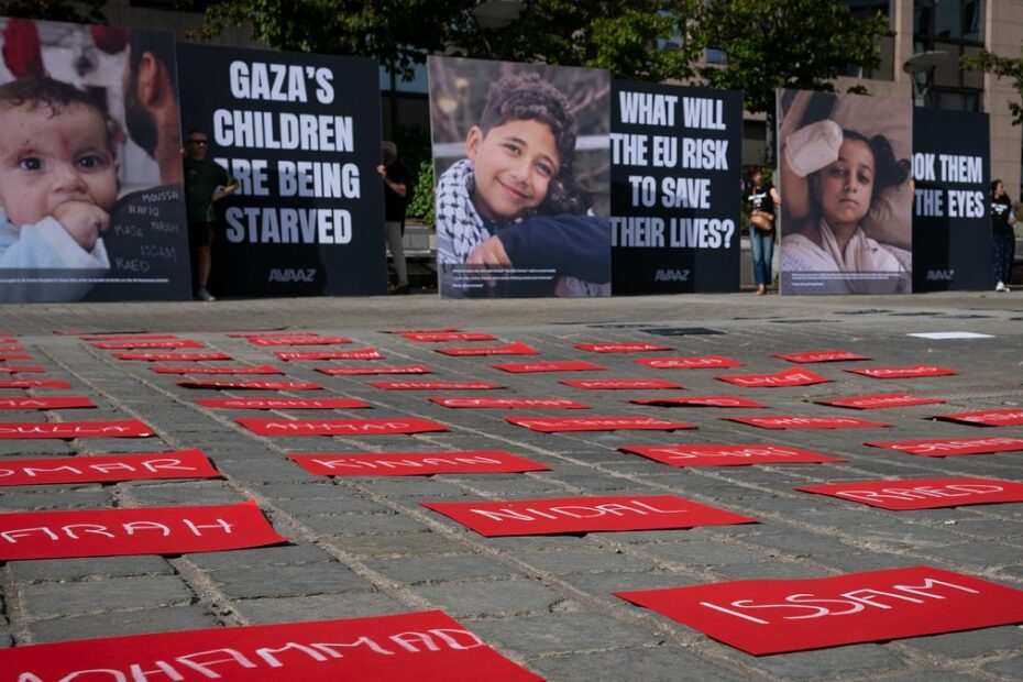 EU inaction on Israel could erode international order, NGO Avaaz warns