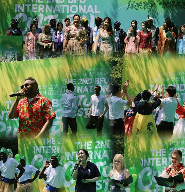 This photo collage shows various performances at the second International Culture Festival of Beijing Forestry University, on June 11, 2025. [Photo provided to chinadaily.com.cn]