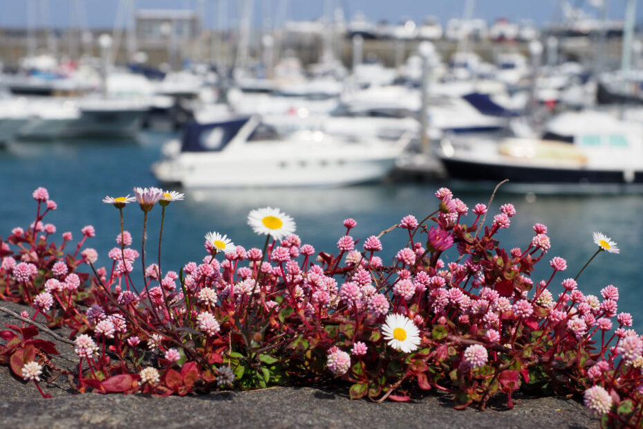 Follow The Travel Trunk on Facebook