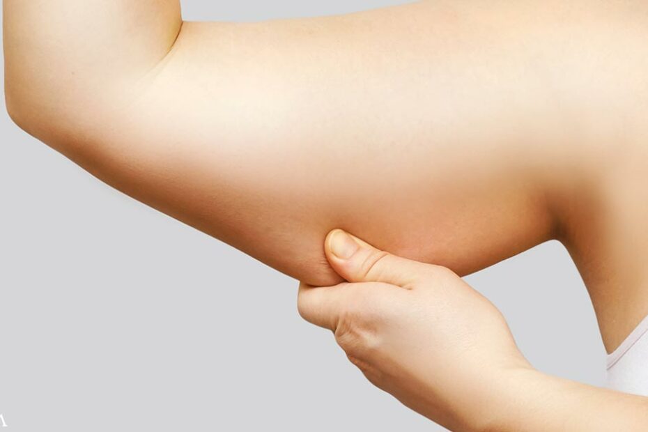 How High-Fat Diets Fuel the Spread of Cancer