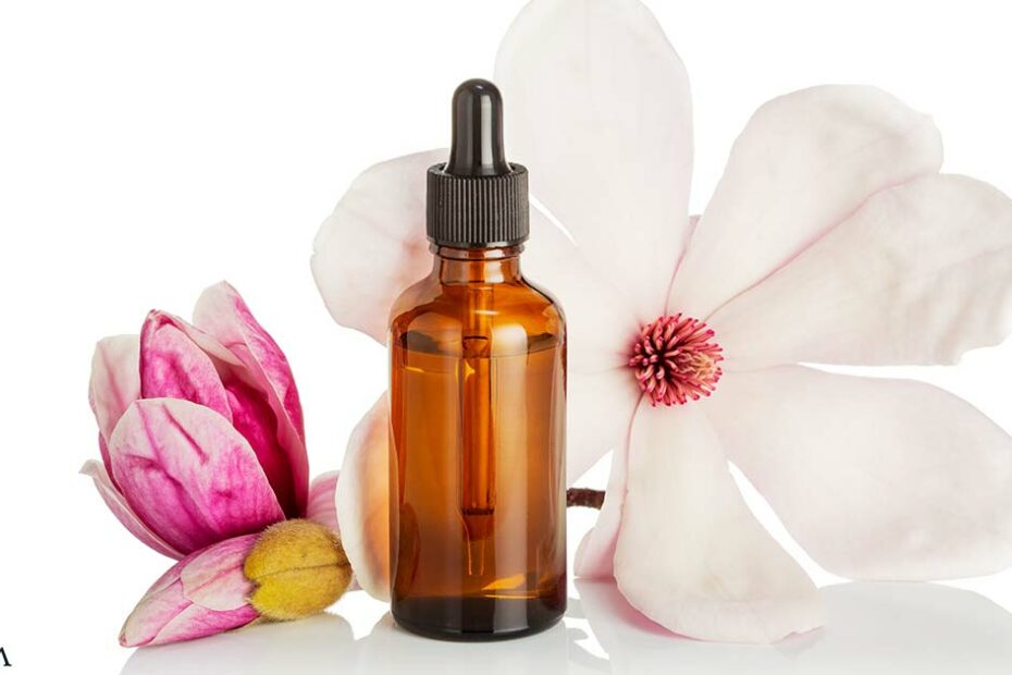 How Magnolia Essential Oil Benefits Your Health
