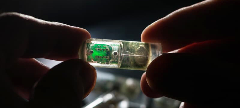 Inside the Body: How Ingestible Sensors Are Shaping the Future of Healthcare
