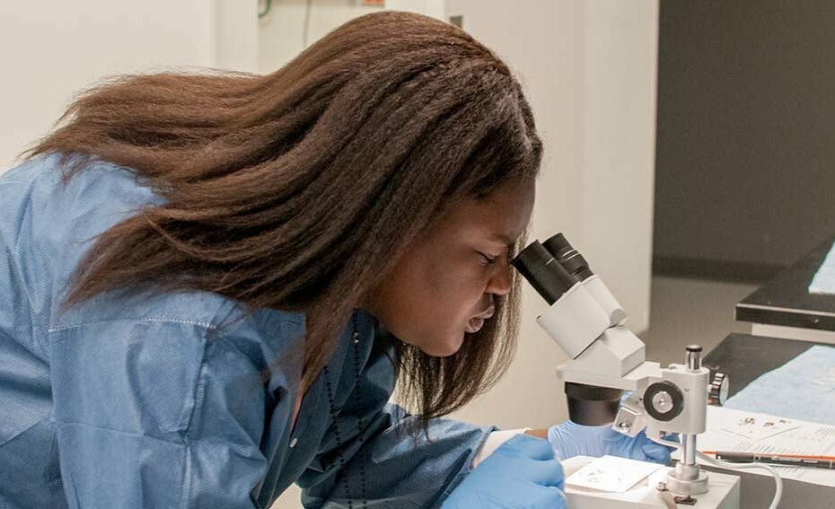 Q&A: Aid cuts call for African self-reliance in research