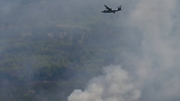 Sandy Lake members 'pulling together' as wildfire evacuation continues: chief | CBC News
