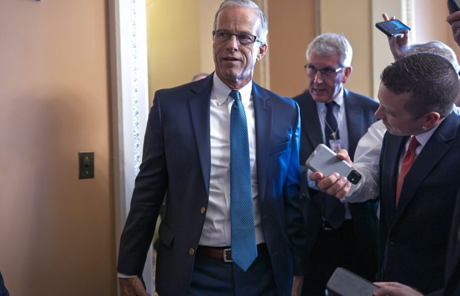 Senate eyes key vote on Trump's tax bill, while Musk calls it 'utterly insane and destructive'