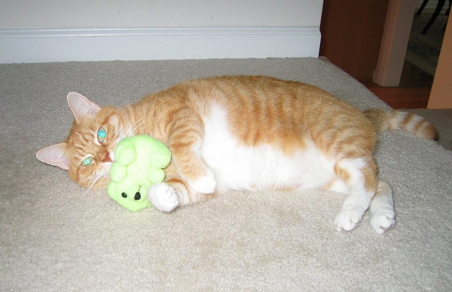 Supreme Court Decrees None May Rein In Mad King Donald