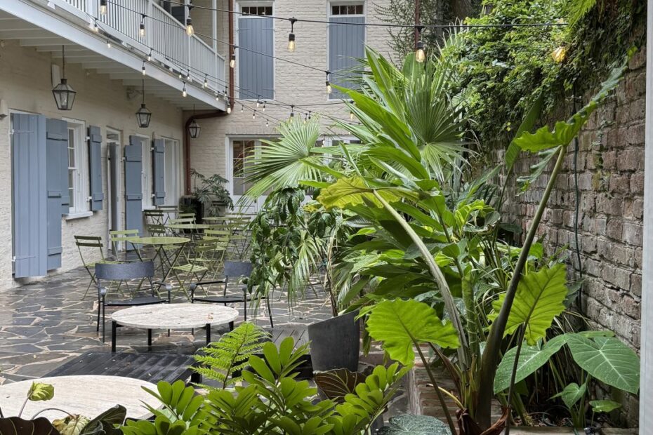 Things to Do in New Orleans: What to Eat, See & Experience