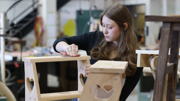 To 'build, baby, build,' this country is going to need a whole lot more shop teachers | CBC Radio
