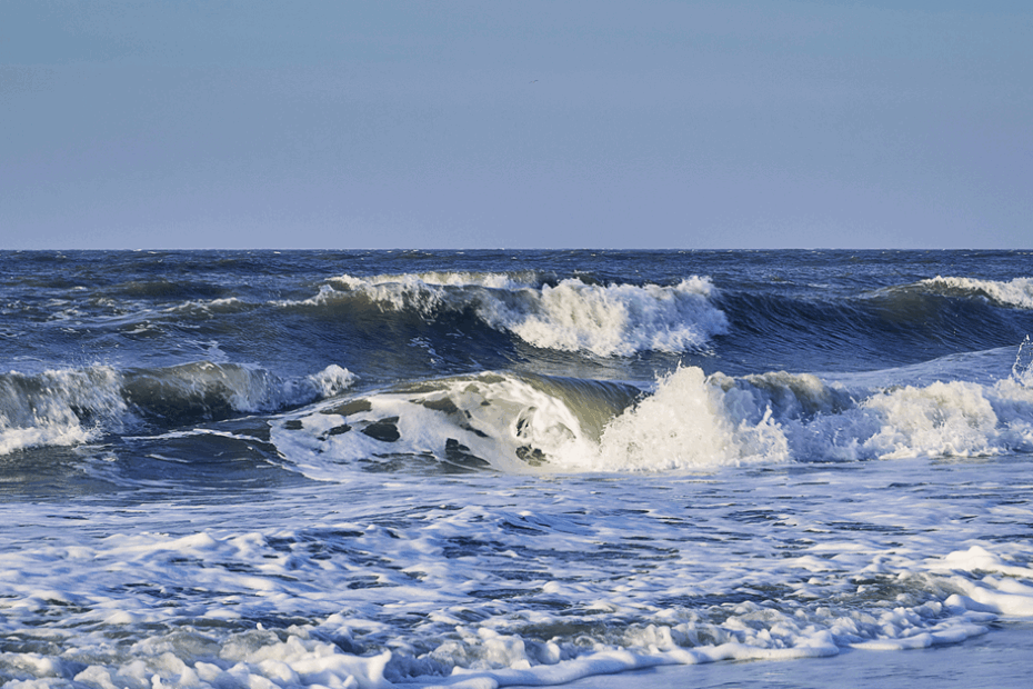 TotalEnergies Gets New Offshore Wind Lease in German North Sea