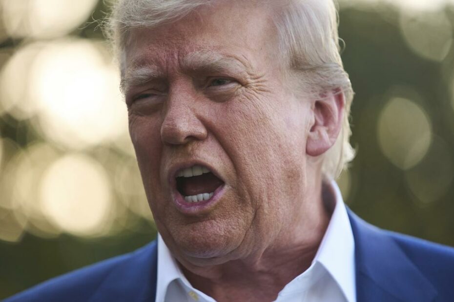 Trump says whether he’ll commit to NATO mutual defence guarantee ’Depends on your definition’