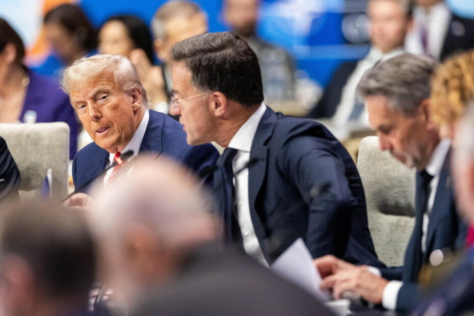 Vertice Nato: 'Gli alleati si impegnano ad investire il 5%'. Trump: 'Spagna terribile, le faremo pagare dazi doppi' - Notizie - Ansa.it