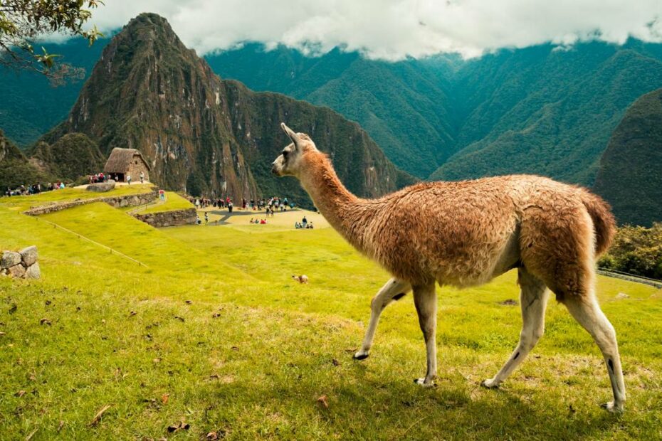 10 Countries Where You Can Experience Four Seasons - Idyllic Pursuit