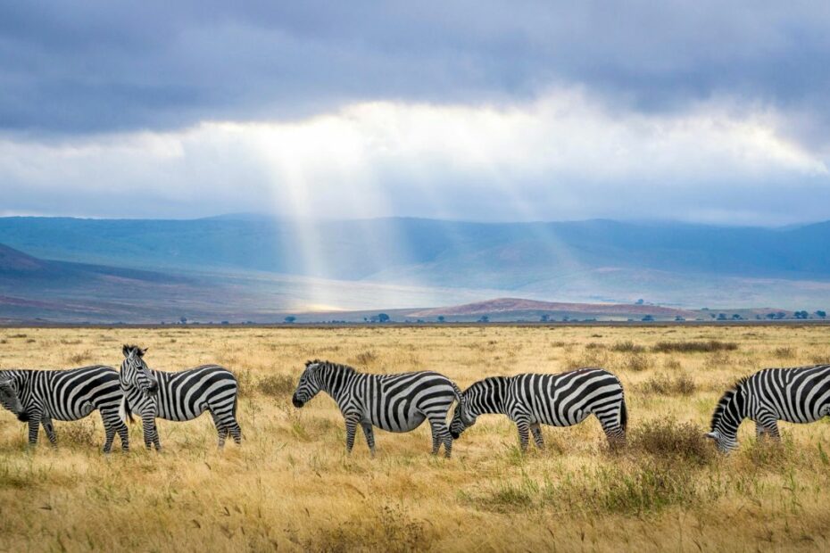 12 Countries Offering Unique Wildlife Encounters - Idyllic Pursuit