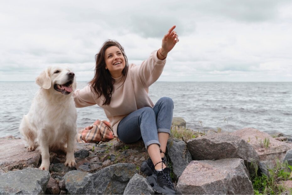 14 Top Dog-Friendly Travel Destinations Every Pet Owner Should Try - Idyllic Pursuit