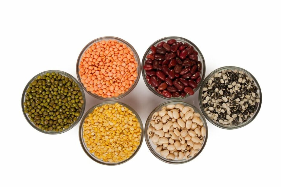 A kitchen tool to learn protein estimation