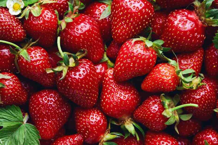 An Unsung Hero of Your Cardiovascular Health