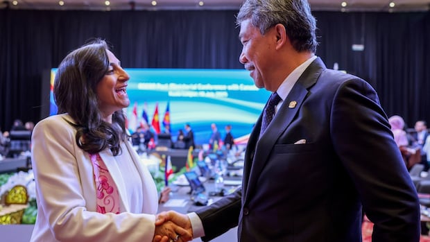 Anand says Indo-Pacific strategy will have economic focus but maintain values | CBC News