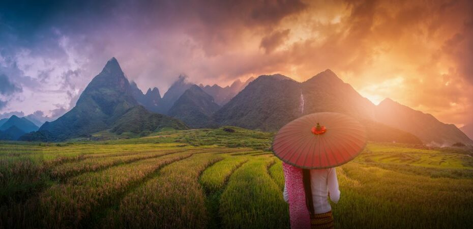 Vietnamese woman in Rice Paddies, Vietnam private tours