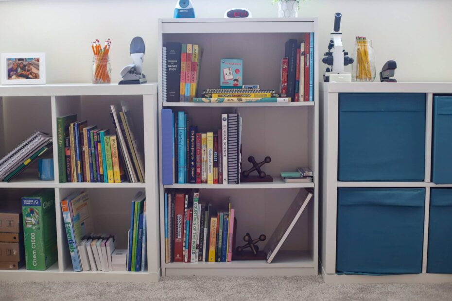 Curriculum Picks: 8th Grade and 6th Grade