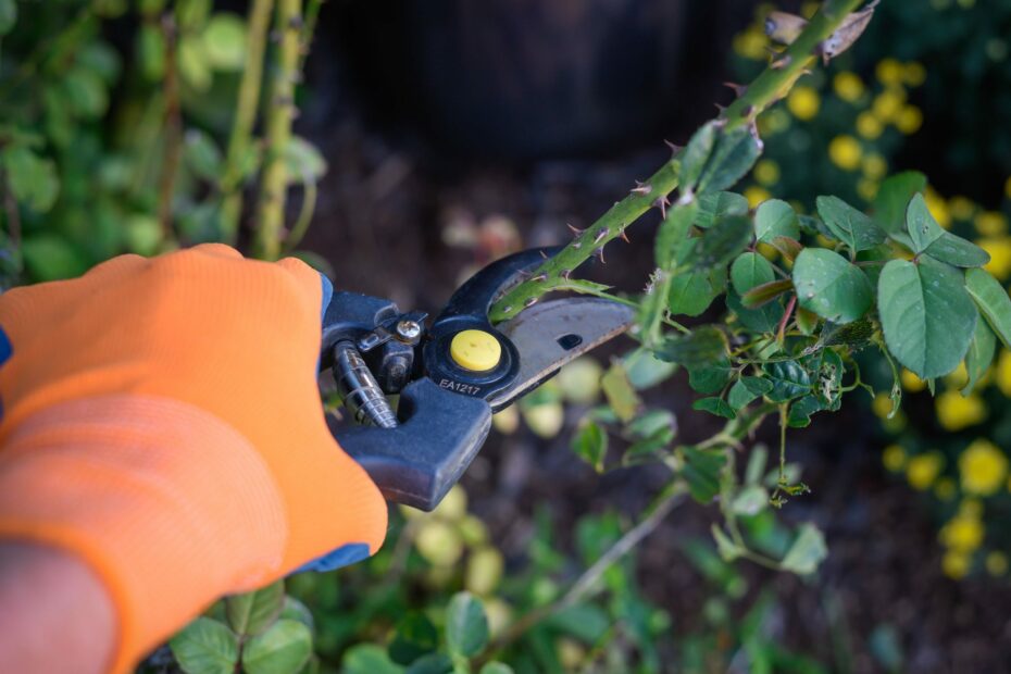 Electrical Safety Tips Every Gardener Should Know