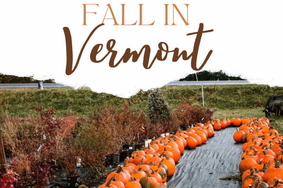 Fall in Vermont: Best Places for a Foliage Road Trip