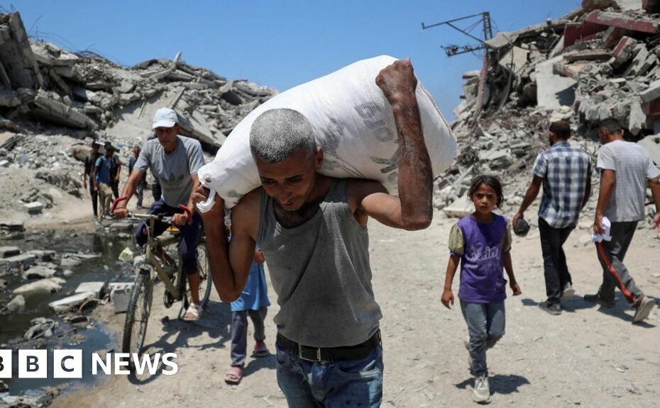 Gaza experiencing 'real starvation', Donald Trump says