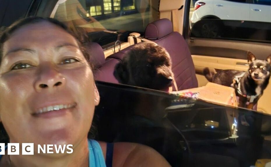 Hawaiians cram roads away from coasts as tsunami waves arrive