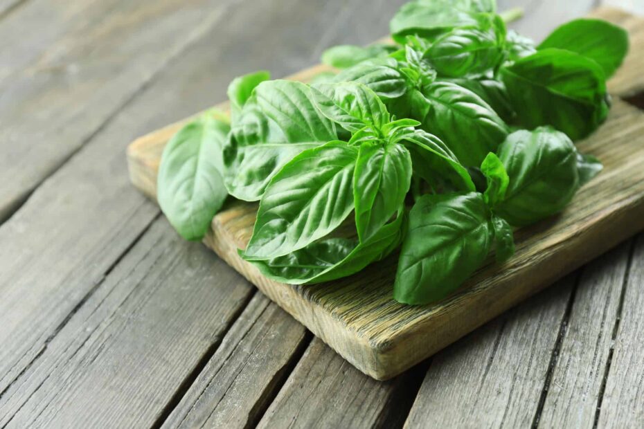 fresh basil on a cutting board