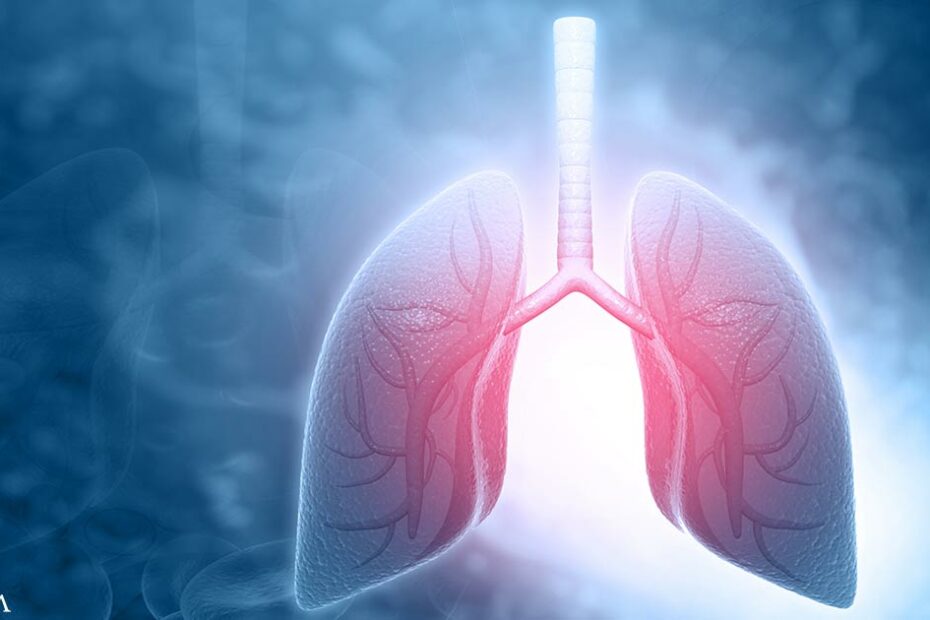 Inhaling Microplastics Affects Lung Function