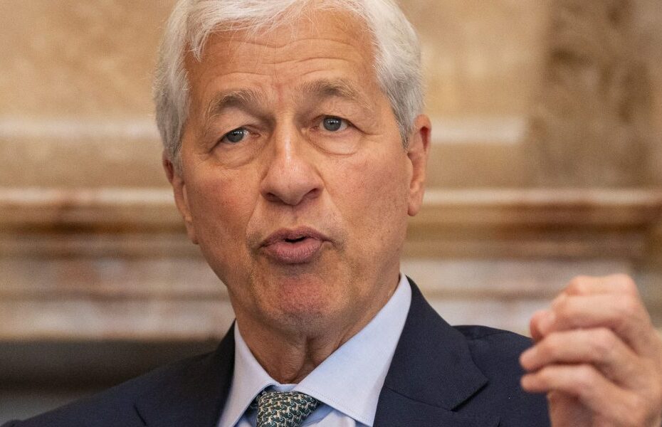 Jamie Dimon breaks with 'idiots' in Democratic Party, saying they 'have big hearts and little brains'
