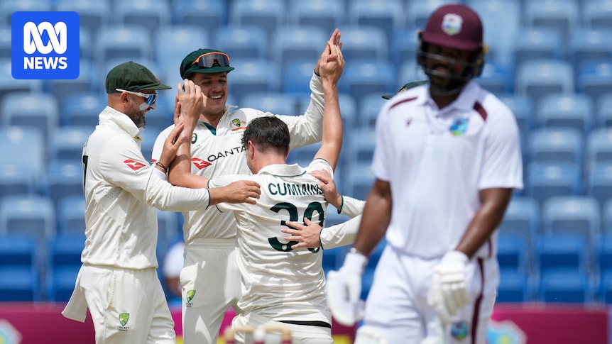 Live: Dog interrupts play as West Indies skipper falls after lunch