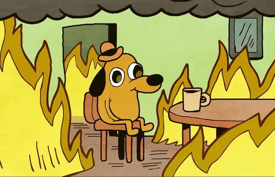 MAGA Demands Canada Quits Ruining Summer