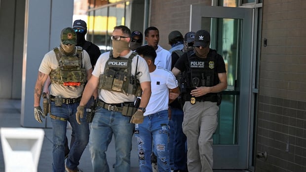 Majority of people arrested in U.S. immigration raids have no criminal record, data shows | CBC News