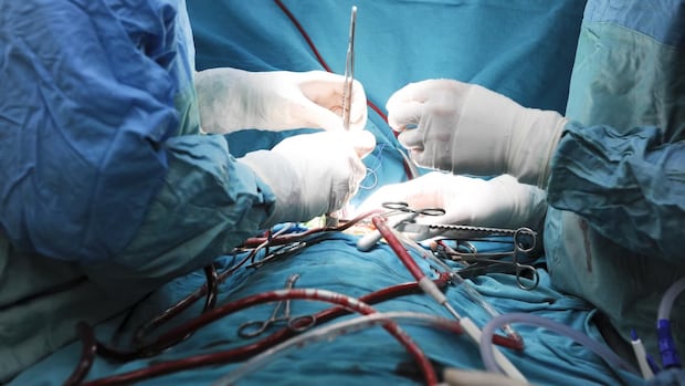 Plastic surgeon's 6-week suspension for professional misconduct 'slap on the wrist': former patient | CBC News