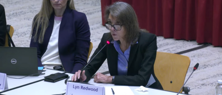 Presentation Before CDC Vaccine Panel Misleads About Thimerosal - FactCheck.org
