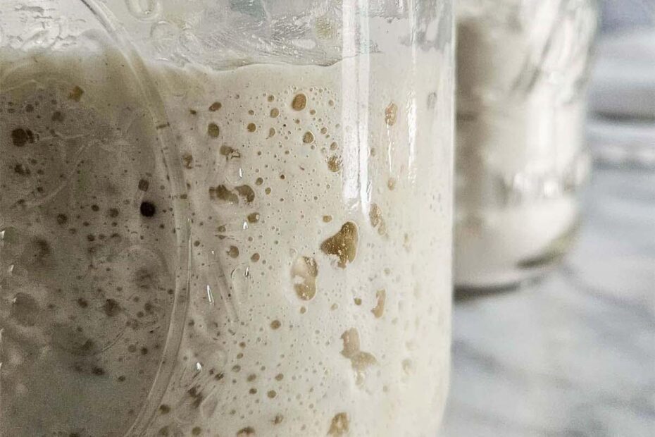 Fully risen sourdough starter in a glass jar.