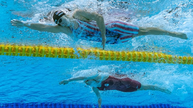 Tale of the tape: McIntosh vs. Ledecky in the 800-metre freestyle | CBC Sports