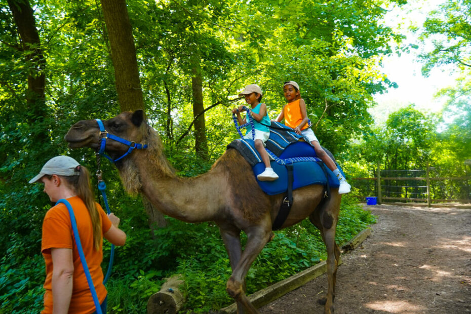 Things to do in Grand Rapids with kids - EazyNazy