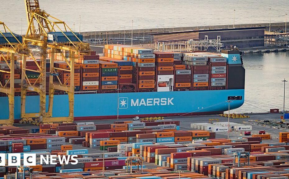 US-EU tariff deal a big Trump win but not a total defeat for Brussels