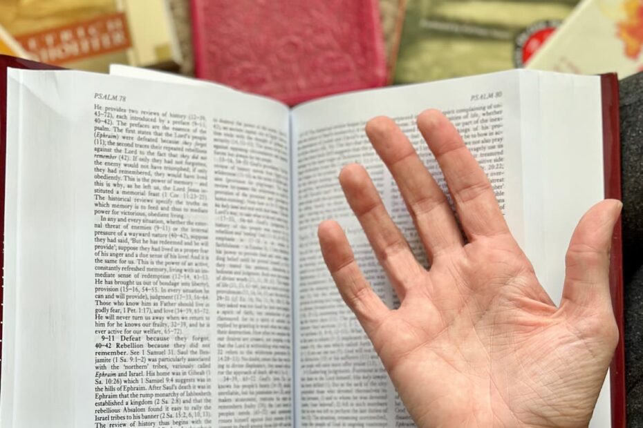 Wholehearted Bible Study: Loving God with All Your Heart, Soul, Mind & Strength