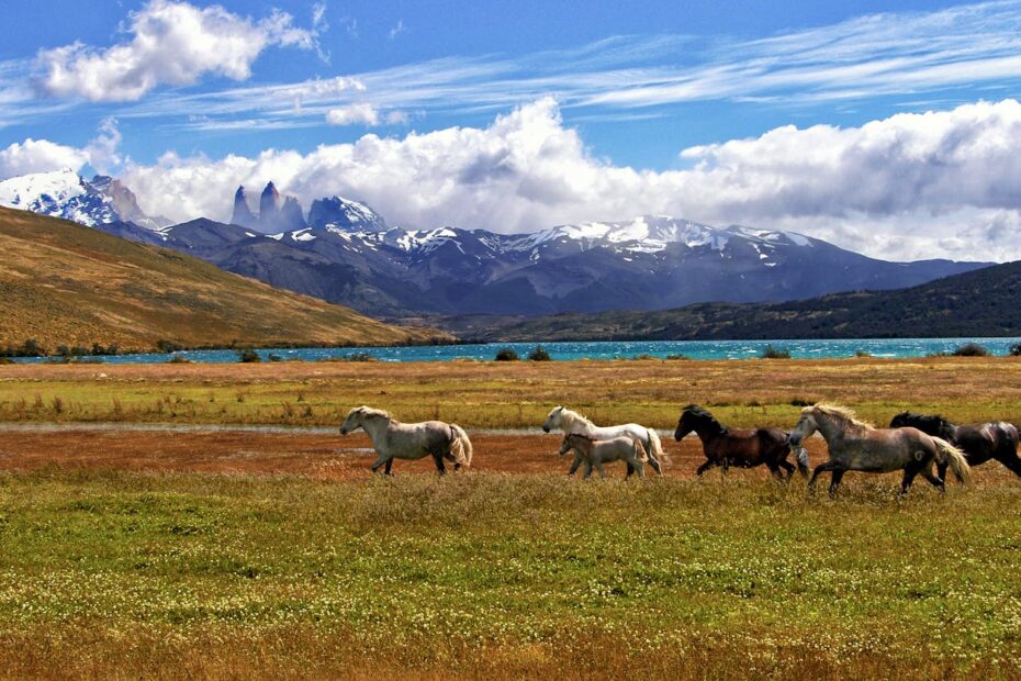 10 UNESCO Biosphere Reserves Open To Visitors - Idyllic Pursuit