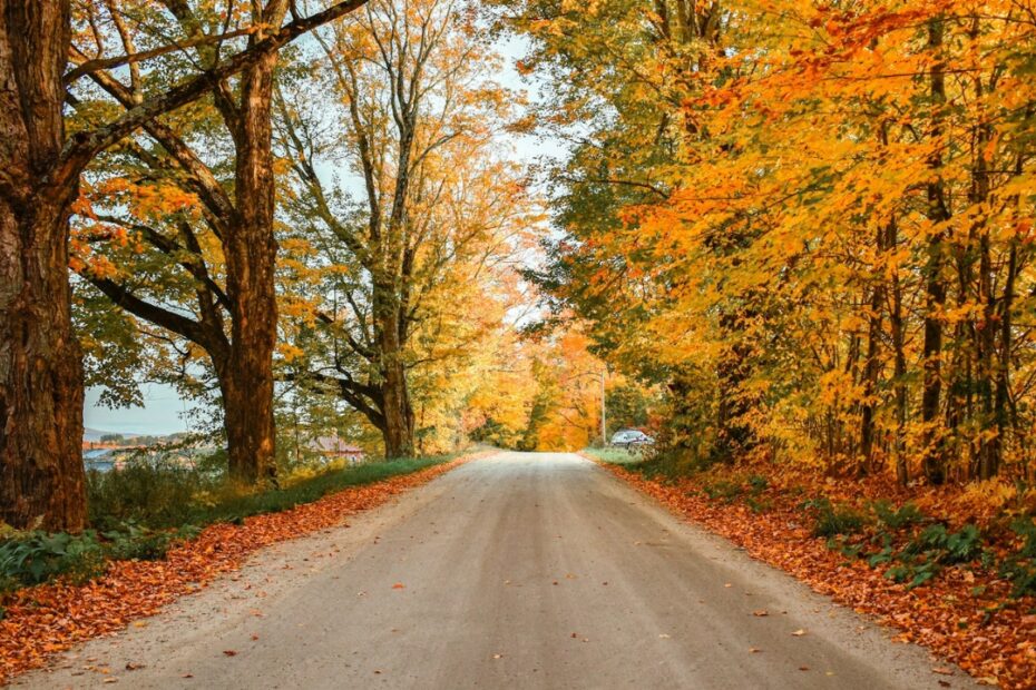 13 Forest Roads That Deliver Fall Color Without The Gridlock - Idyllic Pursuit