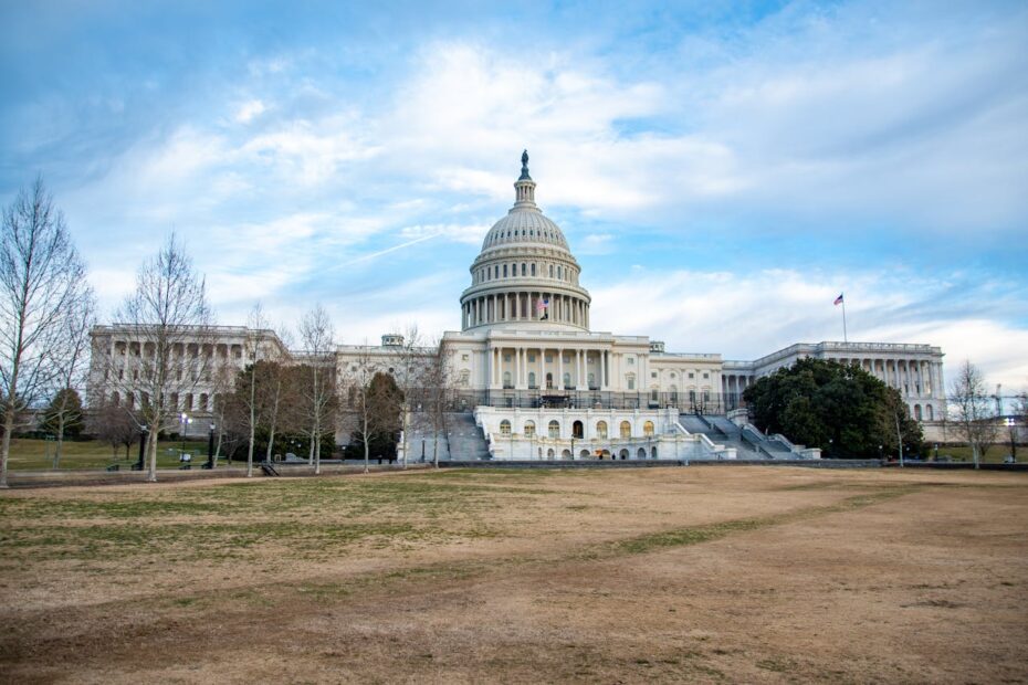 15 Must-Know Sightseeing Tips in Washington, DC - Idyllic Pursuit