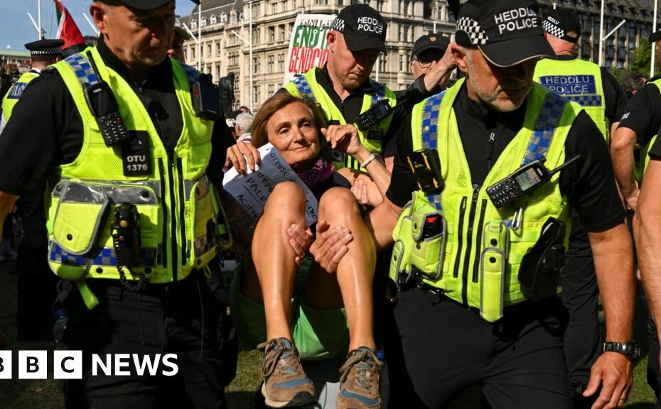 After mass arrests, what happens next with Palestine Action ban?