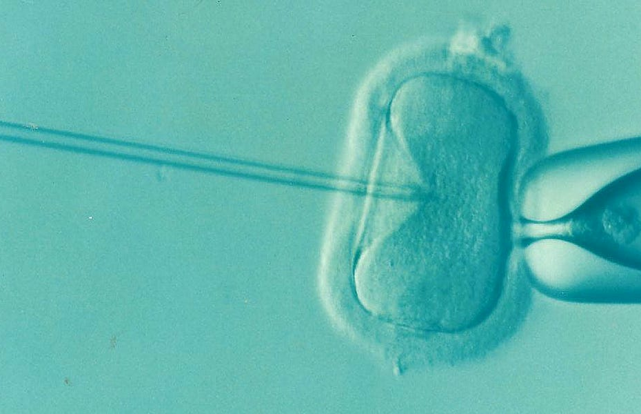 Bad News For Anyone Who Actually Thought Trump Was Gonna Get Them Free IVF
