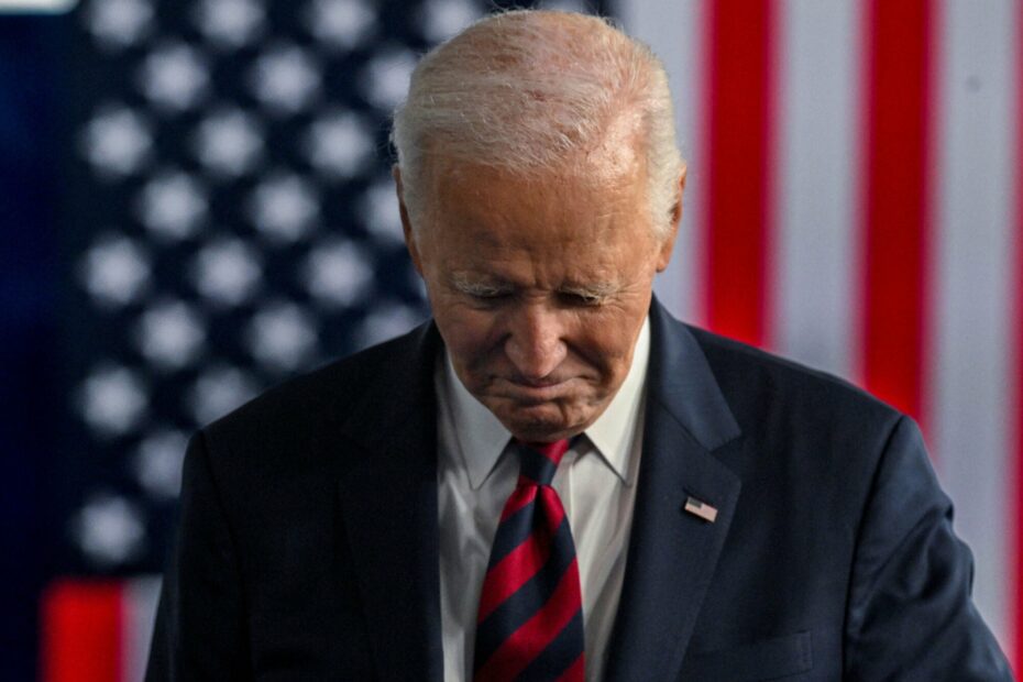 Biden Aides Invoke Fifth Amendment in Probe of President's Mental Decline. What Happens Now?