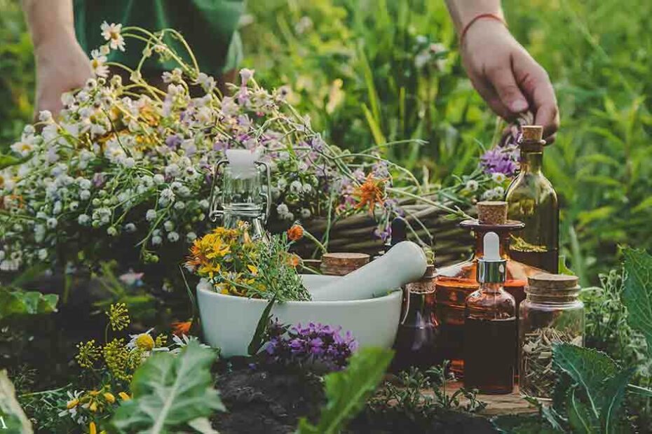 Combining DMSO and Natural Therapies