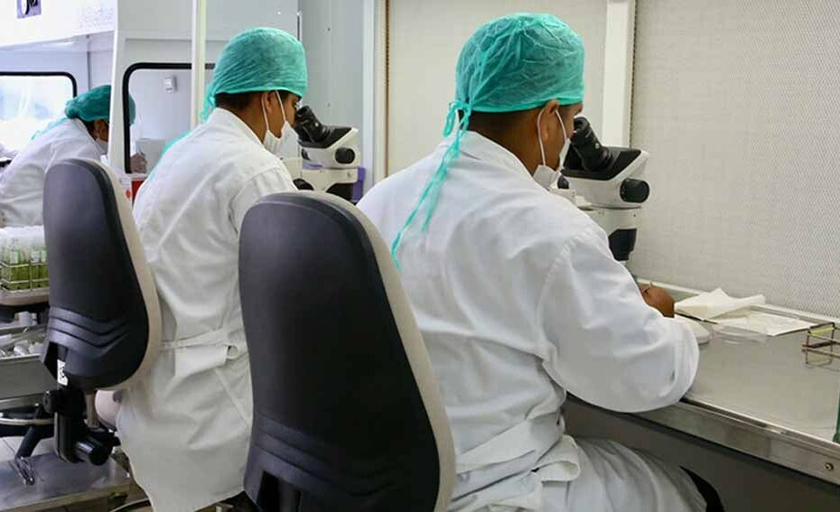 Disease-struck regions sidelined on journal boards