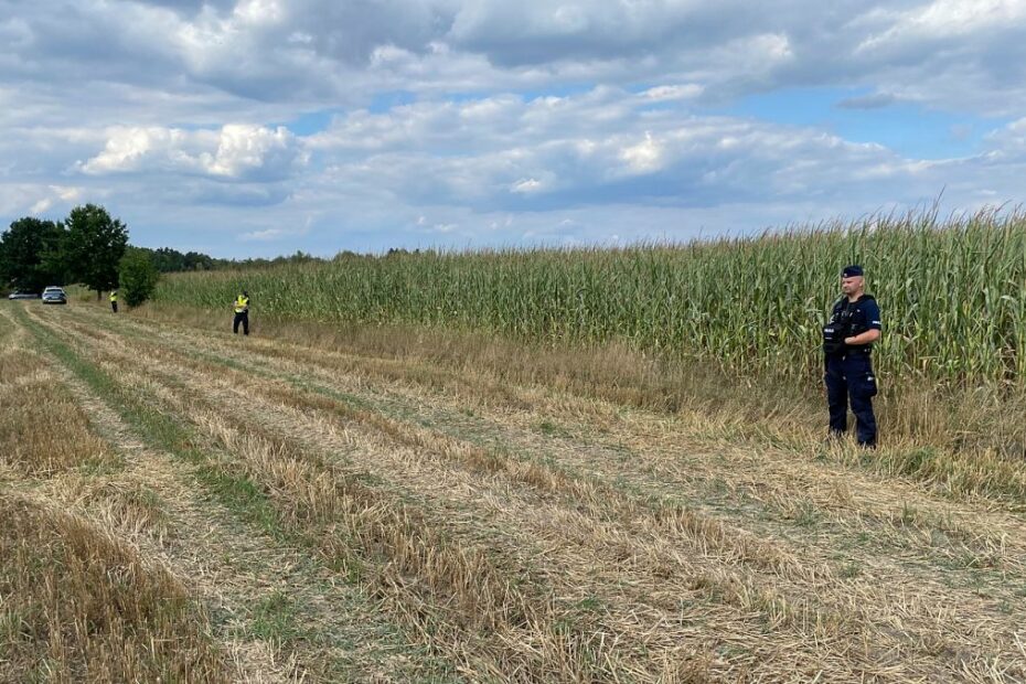 Expert: drone incidents will continue in Poland